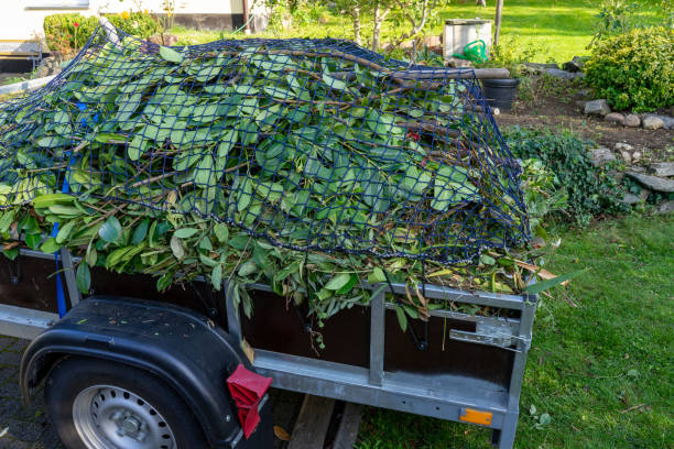 Best Dumpster Rental Services  in Buena Vista, MI